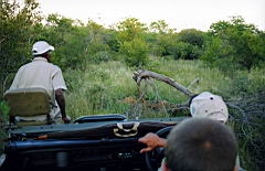 d view gomo gomo scan580.jpg